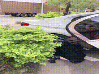 视频打赏