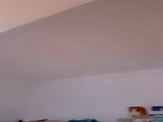 7d7412f94082d0c6ea10c5d6c2ddcf7c