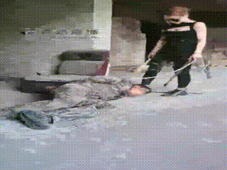 套路女主31522 妮可】废弃厂房的刑
