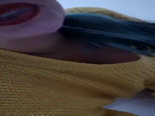 Video_1703243766698