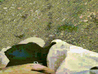 TL29695 雪儿】户外