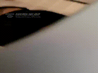 TL21621 十三姨】提档海量黄金狗