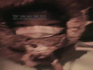 套路直播32558 安琪】户外玩调教女奴骑马遛狗 00_09_34-00_41_04