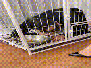 妆主】真实圈养光头 00_06_16-00_11_12