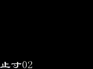 petal_20240114_152550