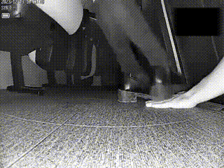 VID_女王S40129130704