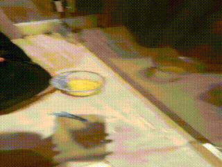 丹祖宗】商场调教 00_28_31-00_33_28