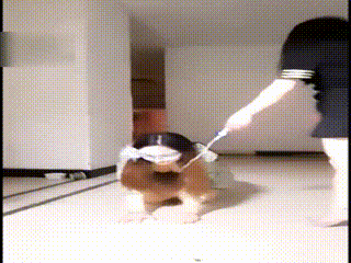 3(1)