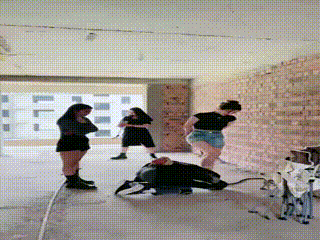 3(6)