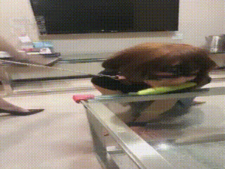 6(3)(1)
