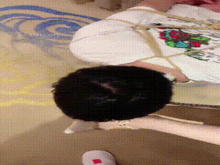 简一】束缚犬 00_26_17-00_31_15