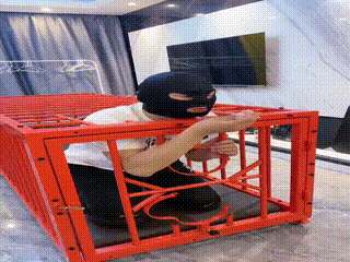女s踢裆、把狗奴关进笼子