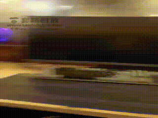 学生贱狗