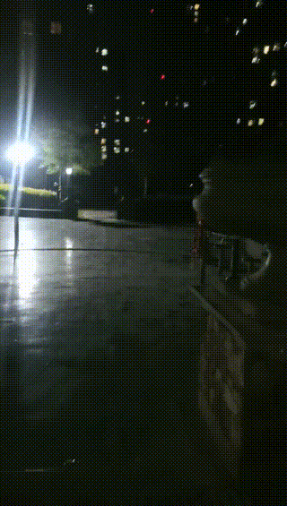 夜间户外溜畜
