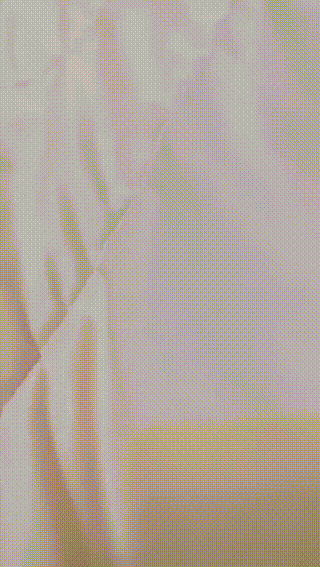 美2