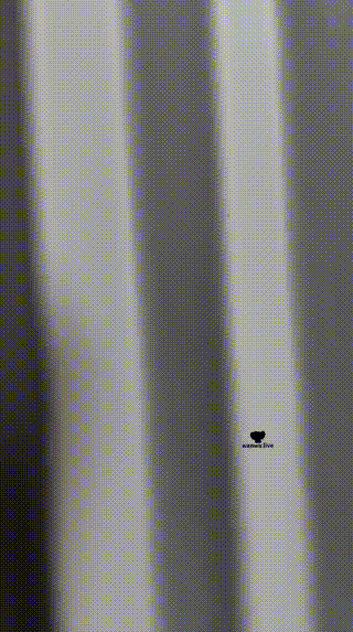伊楠 调教