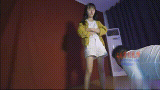 初九洛芸双主调狗