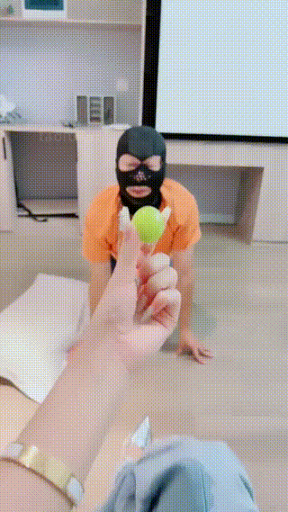 陈1
