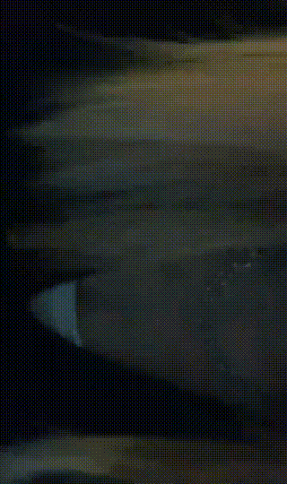 戴戴S长靴丝袜诱惑厕奴