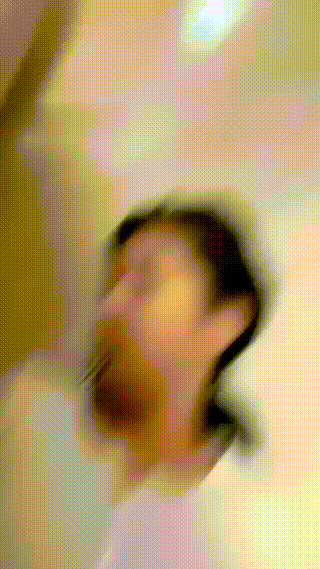 编号1261