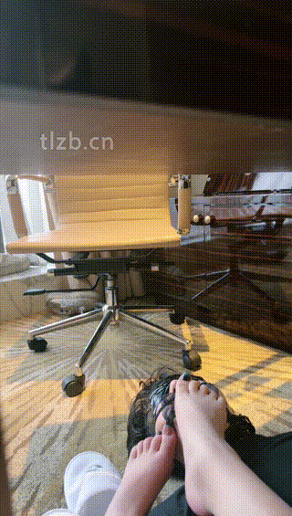 琪琪大人