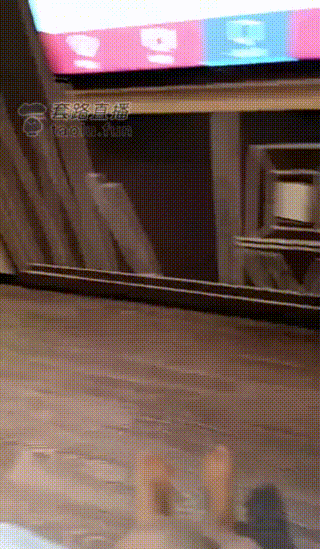 佳颖s骑马喂食舔脚男m