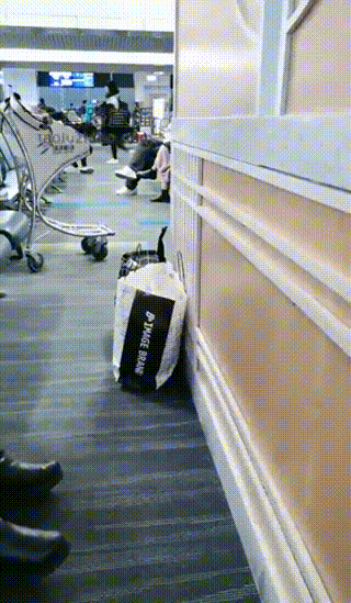 丹祖宗s户外棉袜舔脚女奴~