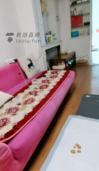 嘉馨s喂食舔脚m~