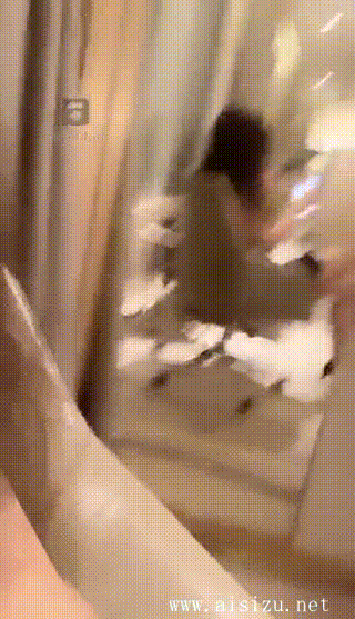 歌迪丝（1）