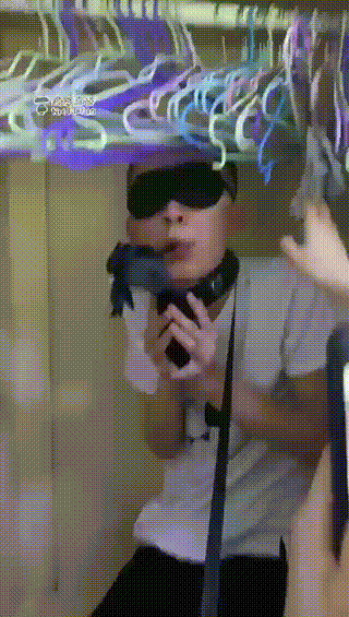 还没睡醒就在门口喊主人起来吃饭 该踹 弯弯小阿姨  2bzha
