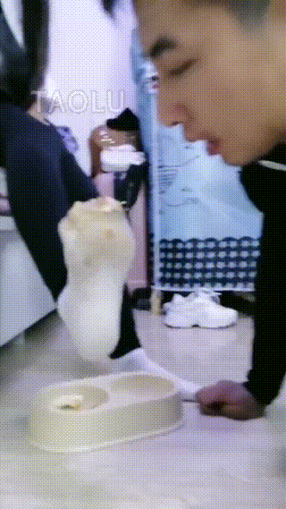 TL28833傲柔】调教笼子里的圈养狗_20241003_19392620241003_1939350