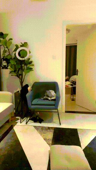 视频(10)