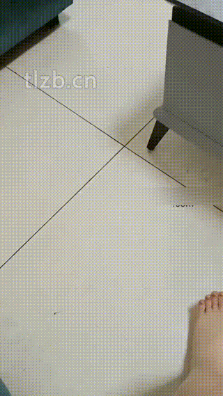 lv_0_20241016131423