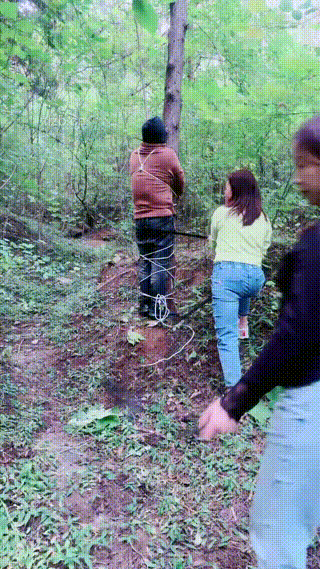 3S群调第一视角