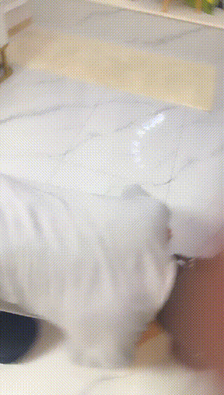 TL37270 阿昆】带亲爱的回家绿