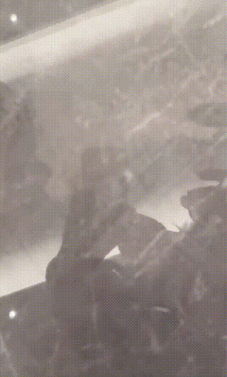 狗哥】警花刑讯逼供