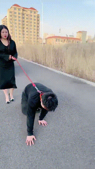 莉莉丝（2）
