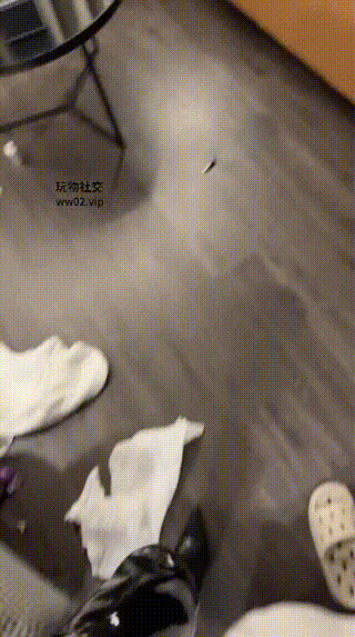 玥樾 乳夹 虐乳 骑脖子 长靴 高跟 踩虐