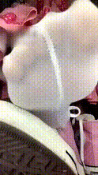 VIDEO_20241125_134207