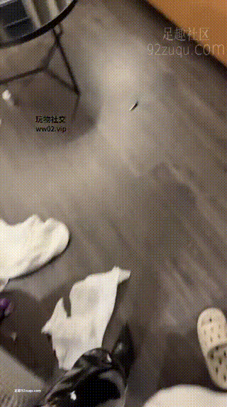 1733019574330