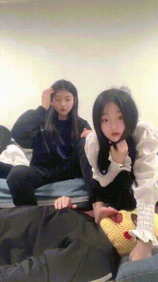 video_1733361246650