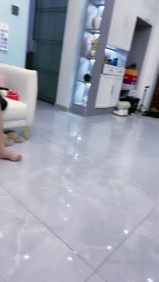 银儿  新人苏苏女王的调教