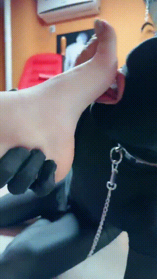 你幻想的生活啊