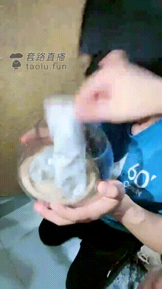 video_1735429904562
