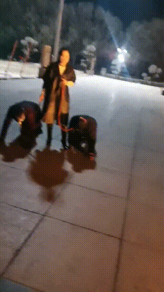 video_1736475116360