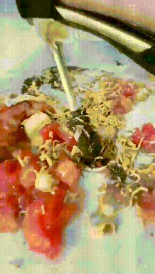 video_1739936273048