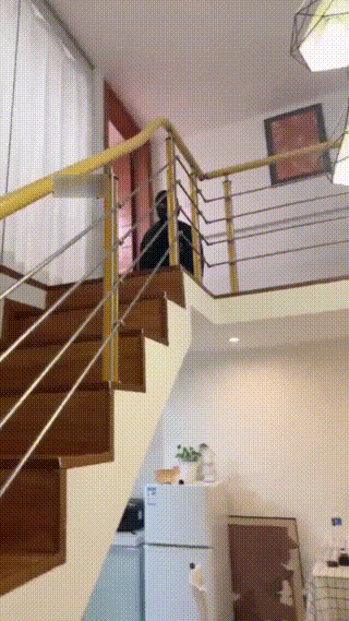 乐秀视频剪辑第1803部_20250316102557283