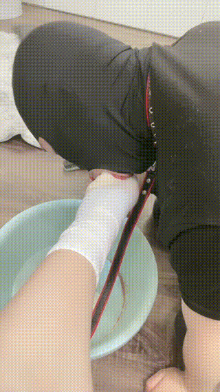 2回放20250409足趣