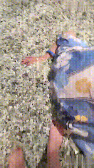 1744386740466_【桃幼幼】洗浴中心里舔脚【40分钟】 - taolusm