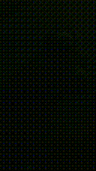 1744385472427_【桃幼幼】夜跑女神户外调-舔脏鞋_骑马_嘴塞袜子关狗笼【90分钟】 - taolusm